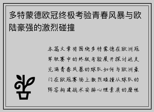 多特蒙德欧冠终极考验青春风暴与欧陆豪强的激烈碰撞