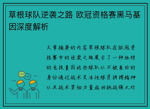 草根球队逆袭之路 欧冠资格赛黑马基因深度解析